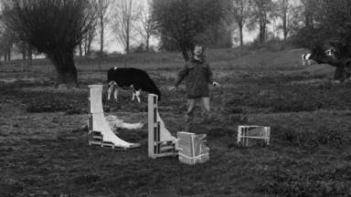 Foto: Kunsthalle Düsseldorf Schwarzweiß Fotografie eines Mannes im Regenparker, der gerade in Begriff ist etwas aufzubauen. Er steht auf einer Wiese.